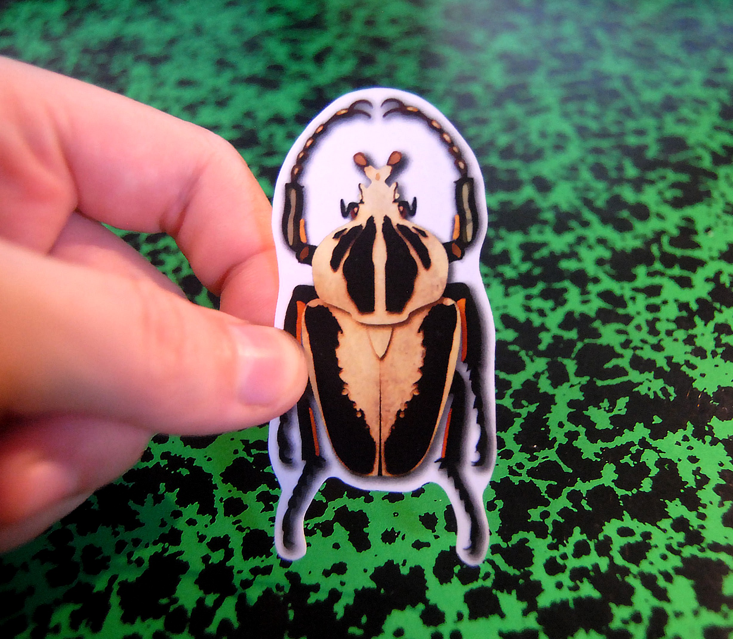 Application de l'insecte en sticker